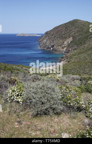 Capo Grosso e garrigue con l'isola de Giraglia al di là di Corsica Francia Foto Stock