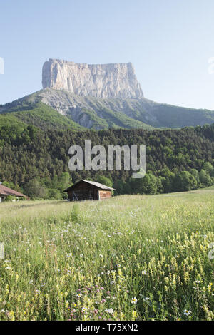 Mont Aiguille e prato di fiori selvaggi Richardiere vicino Chichilianne Parc Naturel Regional du Vercors Francia Foto Stock