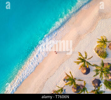 Vista aerea di ombrelli, palme sulla spiaggia di sabbia di Oceano Indiano al tramonto. Estate a Zanzibar, Africa. Paesaggio tropicale con palme e ombrelloni Foto Stock