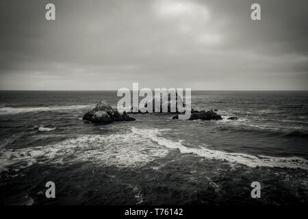 Il Seal Rocks a Lands End. San Francisco, California, Stati Uniti d'America - STATI UNITI D'AMERICA. Foto Stock