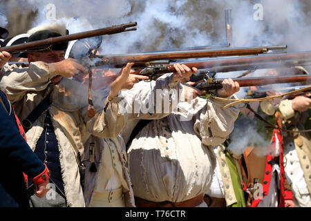 Reenactors di American esercito continentale sparando moschetti a Jockey cava parco storico nel corso annuale di cava Jockey Encampment.Harding.New Jersey.USA Foto Stock