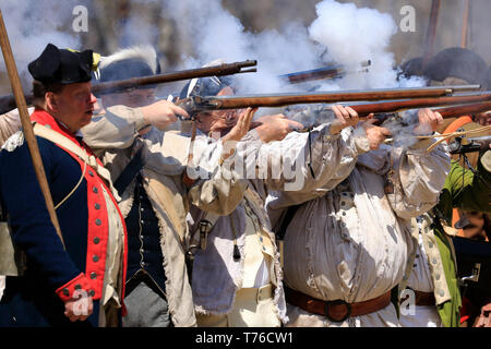 Reenactors di American esercito continentale sparando moschetti a Jockey cava parco storico nel corso annuale di cava Jockey Encampment.Harding.New Jersey.USA Foto Stock