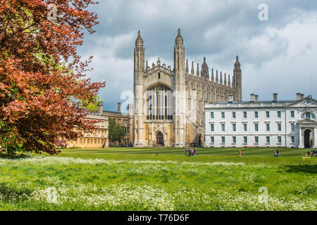 Kings College Chapel. Università di Cambridge, Cambridgeshire, Inghilterra. Regno Unito. Foto Stock