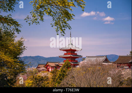 Vista Kiyumizu-dera tempio, Kyoto, Giappone con giardini colorati in primo piano Foto Stock