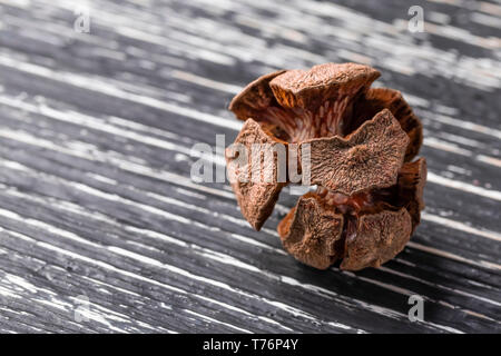 Uno essiccato cypress cono su legno scuro lo sfondo di close-up Foto Stock