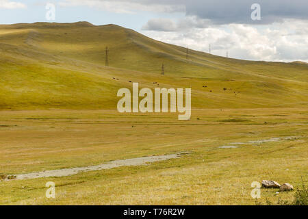 Alta tensione della linea di alimentazione scorre attraverso le colline in Mongolia, bellissimo paesaggio della Mongolia Foto Stock