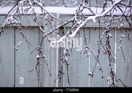 Scene d'inverno Foto Stock