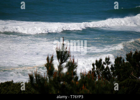 In Wellen, Belgium.Wellen am Nordstrand von nazare, Portogallo. Foto Stock