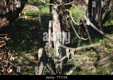 Il cimitero ebraico di Mikulov è uno dei più importanti cimiteri ebraici nella Repubblica Ceca. Si tratta di uno dei più antichi e più importante per la comunità ebraica Foto Stock