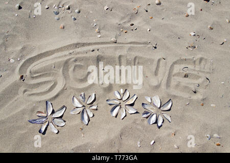 Foto fatta dalle conchiglie sulla spiaggia con Sonne (sun) scritto al di sopra di esso, Spiekeroog Island, East Friesland, Bassa Sassonia, Germania Foto Stock