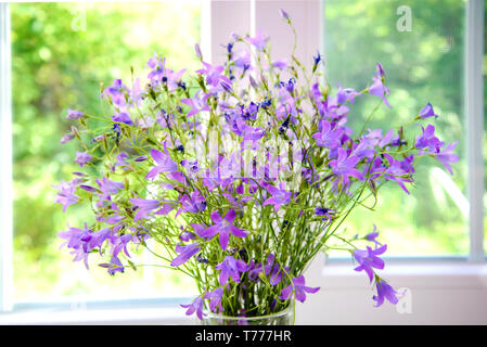 Bouquet di campane viola sul davanzale in estate Foto Stock