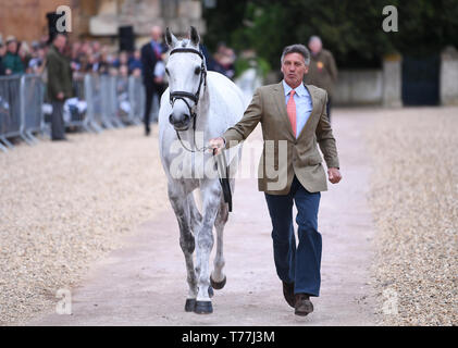 Badminton, UK. Il 5 maggio, 2019. Mitsubishi Motors Badminton Horse Trials, giorno 5; Andrew Nicholson (NZL) e deglutire molle passano il controllo finale prima della prova di salto il giorno 5 del 2019 Badminton Horse Trials Credito: Azione Sport Plus/Alamy Live News Foto Stock