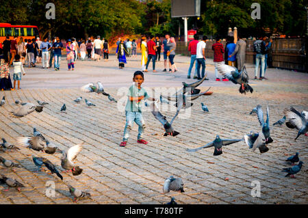 Jaipur, India - circa 2019: Giovane ragazzo rincorrere i piccioni in ram niwas giardini di fronte albert hall un famoso monumento in Rajasthan. Visualizza Foto Stock