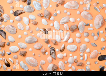 Creative varie seashell pattern pastello su sfondo arancione. La vacanza estiva concetto. Sfondo marino Foto Stock