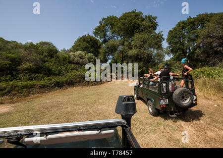 Sithonia, Calcidica, Grecia - 27 Giugno 2014: Offroad car Land Rover Defender 110 all'aperto Foto Stock