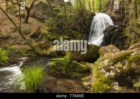 In A Coruña, vi sono quattro cascate del fiume Mendo, in un vivace ambiente forestale. Appartiene a Marine Coruñesas e Terras do Mandeo Biosph Foto Stock