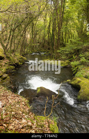 In A Coruña, vi sono quattro cascate del fiume Mendo, in un vivace ambiente forestale. Appartiene a Marine Coruñesas e Terras do Mandeo Biosph Foto Stock