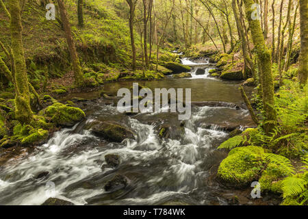 In A Coruña, vi sono quattro cascate del fiume Mendo, in un vivace ambiente forestale. Appartiene a Marine Coruñesas e Terras do Mandeo Biosph Foto Stock