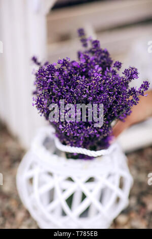 Profumo di lavanda. Pila di fiori di lavanda mazzi su una tavola di legno vecchio banco in un giardino estivo Foto Stock