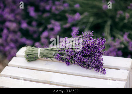 Profumo di lavanda. Pila di fiori di lavanda mazzi su una tavola di legno vecchio banco in un giardino estivo Foto Stock