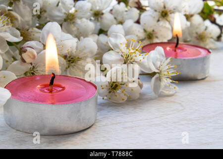 Candele di cera stanno bruciando vicino i rami della fioritura ciliegia sulla tabella. Close-up. Foto Stock