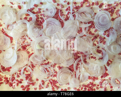 Immagine della tradizionale Tarte flambee con creme fraiche formaggio, cipolla e pancetta. Vista dall'alto in basso, Piana, laici close up Foto Stock