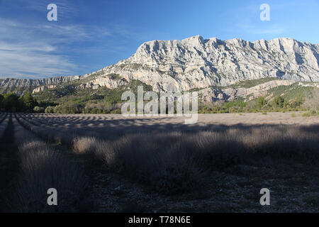 Montagne Sainte Victoire, a nord di Aix-en-Provence. È stato un argomento preferito di ispirazione per il pittore impressionista Paul Cezanne Foto Stock