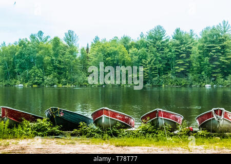 Fiume e vecchie barche sulla riva in estate, giorno nuvoloso. Verde bosco riflessi nell'acqua Foto Stock