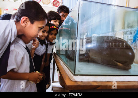 Mongla, Khulna Division, Bangladesh : la scuola i bambini guardano ad un delfino farcito durante una visita al piccolo museo della Sundarbans di Mongla. Foto Stock