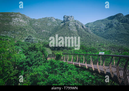 Elevata passerella in legno con una vista in Kirstenbosch Botanical Garden, Città del Capo Foto Stock