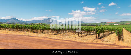Vista Panoramica dei vigneti e le montagne di Franschhoek città in Sud Africa Foto Stock