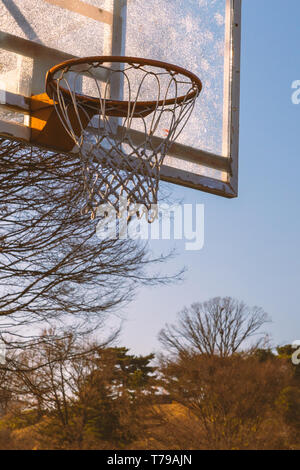 Basketball hoop con net nel parco Foto Stock
