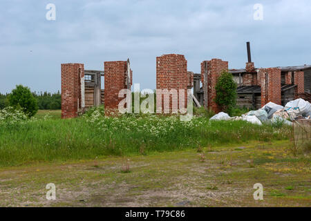 Resti di edifici presso il monastero di Sergievsky sull isola di Muksalm, isole Solovki, regione di Arkhangelsk, Russia Foto Stock