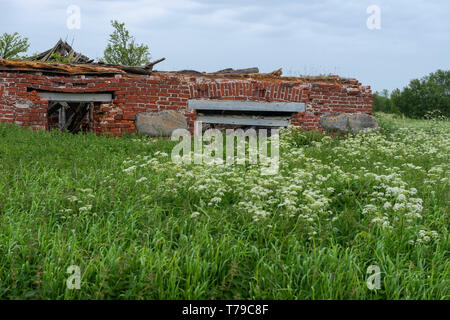 Resti di edifici presso il monastero di Sergievsky sull isola di Muksalm, isole Solovki, regione di Arkhangelsk, Russia Foto Stock