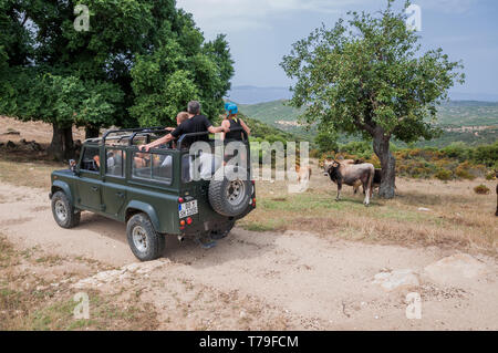 Sithonia, Calcidica, Grecia - 27 Giugno 2014: Offroad car Land Rover Defender 110 all'aperto Foto Stock