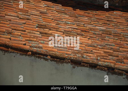 Close-up di tegole sul tetto coperto da muschi e licheni in una soleggiata giornata al castello di Marvao. Un borgo medievale arroccato su una rupe in Portogallo. Foto Stock