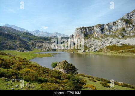 Panoramica del Lago Ercina, laghi di Covadonga, Picos de Europa, Asturias, Spagna, Agosto 2016. Foto Stock