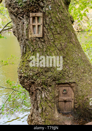 Quikry scolpito porta e finestra nel tronco di albero, storia per bambini trail, Pressmennan legno, East Lothian, Scozia, Regno Unito Foto Stock