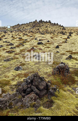 Il muschio islandese copre la roccia vulcanica Foto Stock