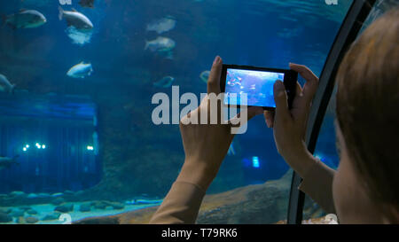 La donna prende la foto in oceanarium Foto Stock