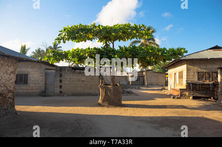 Alba nei locali di un villaggio Africano. Zanzibar, Tanzania Africa Foto Stock