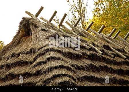 Frammento della vecchia casa nel Museo di architettura popolare di Sanok. Subcarpathian voivodato. Polonia Foto Stock