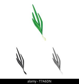 Menù,vitamina,freschi,mature,l'estate,agriturismo,cibo,sapori,seasonin,l'ingrediente,onion,verdura,verde,foglie,spezie,aroma,gusto,prodotto organico,,cottura,impostare,vettore,icona,immagine,isolato,raccolta,design,l'elemento,graphic,segno, Vettori vettore , Illustrazione Vettoriale