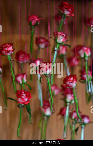 Rose fiori appendere in poco speziale bottiglie in vetro Foto Stock