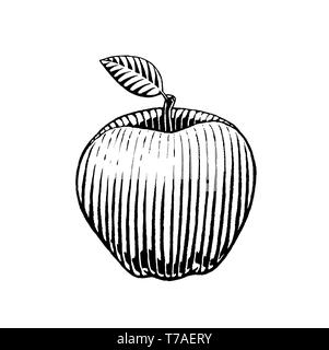 Illustrazione vettoriale di un stile Scratchboard disegno a inchiostro di un Apple Foto Stock