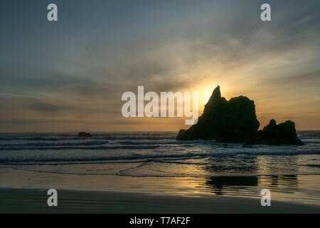 Sun Hidding dietro la grande roccia nella costa di Oregon con Seagull sulla parte superiore Foto Stock