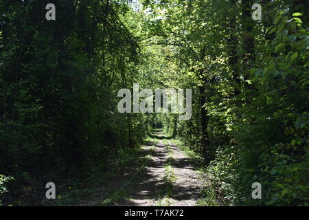 Perso il posto, urbano esplorando, Strassenbahn, tranvia, Klagenfurt, Kärnten, Österreich, aufgelassen, stillgelegt, Remise, Wagen, Straßenbahnwagen, Oberlei Foto Stock