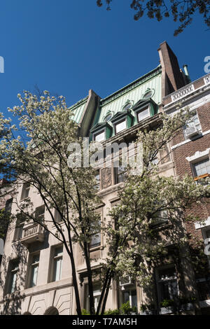 Il co-Appartamento Case, Upper East Side, NYC, STATI UNITI D'AMERICA Foto Stock