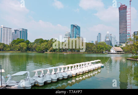 Swan barche a remi, Lago, Parco Lumphinee Pathum distretto Wan, Bangkok, Thailandia Foto Stock
