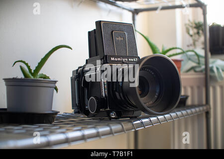 Una Mamiya medio formato fotocamera seduto su un ripiano metallico con alcune piante di casa in primo piano e sullo sfondo Foto Stock